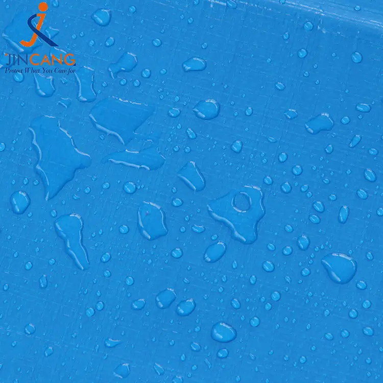 Bán 220g gorm le tarpaulin PE clóite