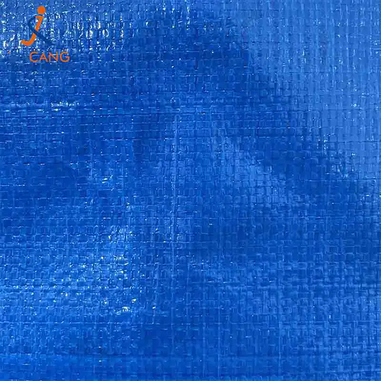 Mála gluaiseachta XXL uiscedhíonach saincheaptha