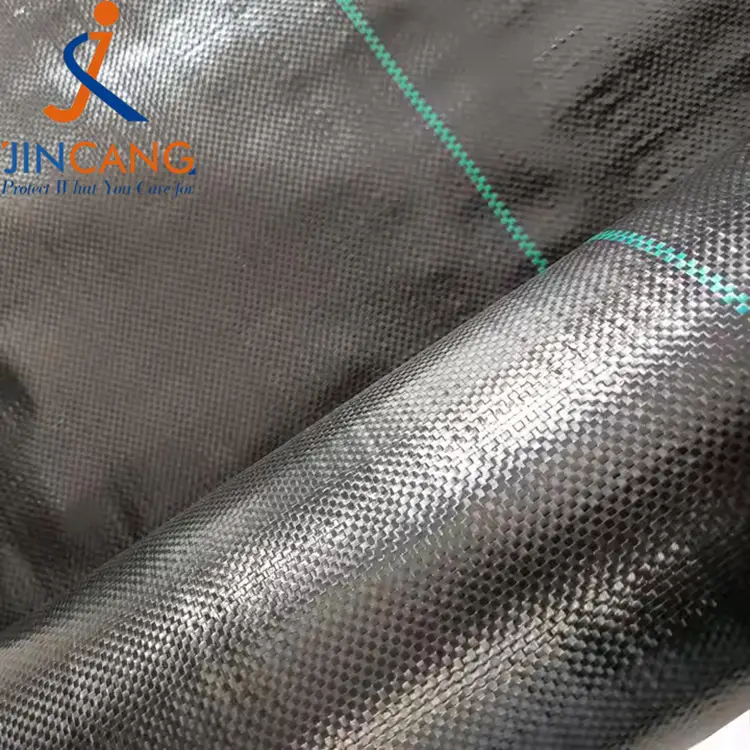 Pp mata fiailí fite