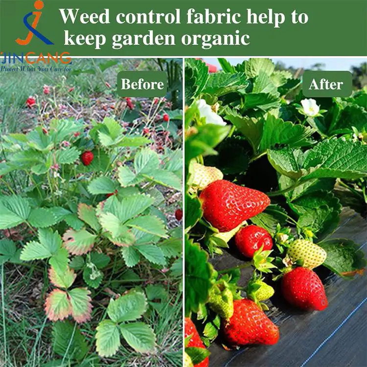 Mata fabraice rialaithe fiailí