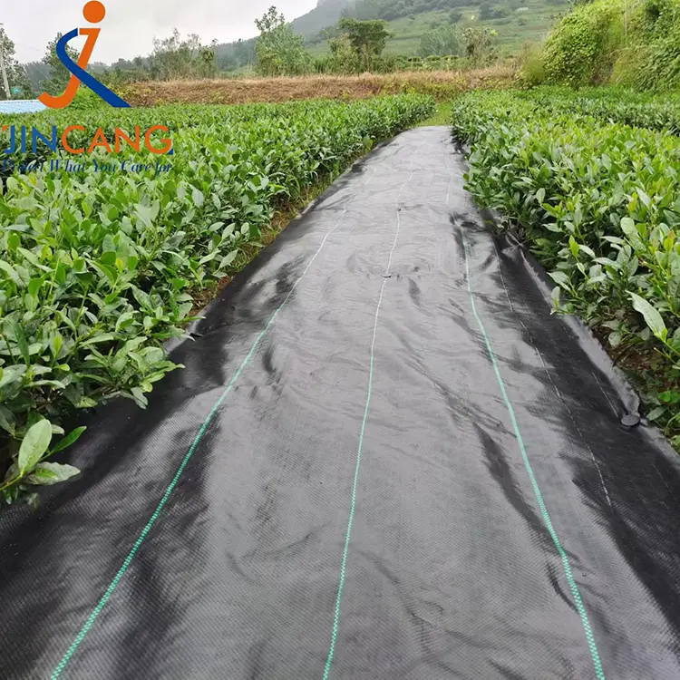 Mata fabraice rialaithe fiailí