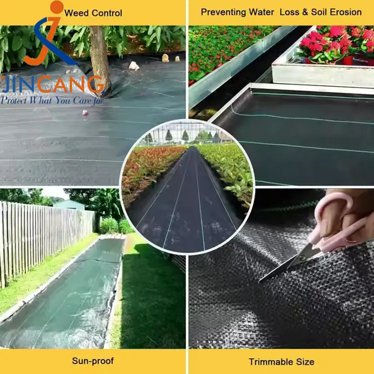 Mata fabraice rialaithe fiailí