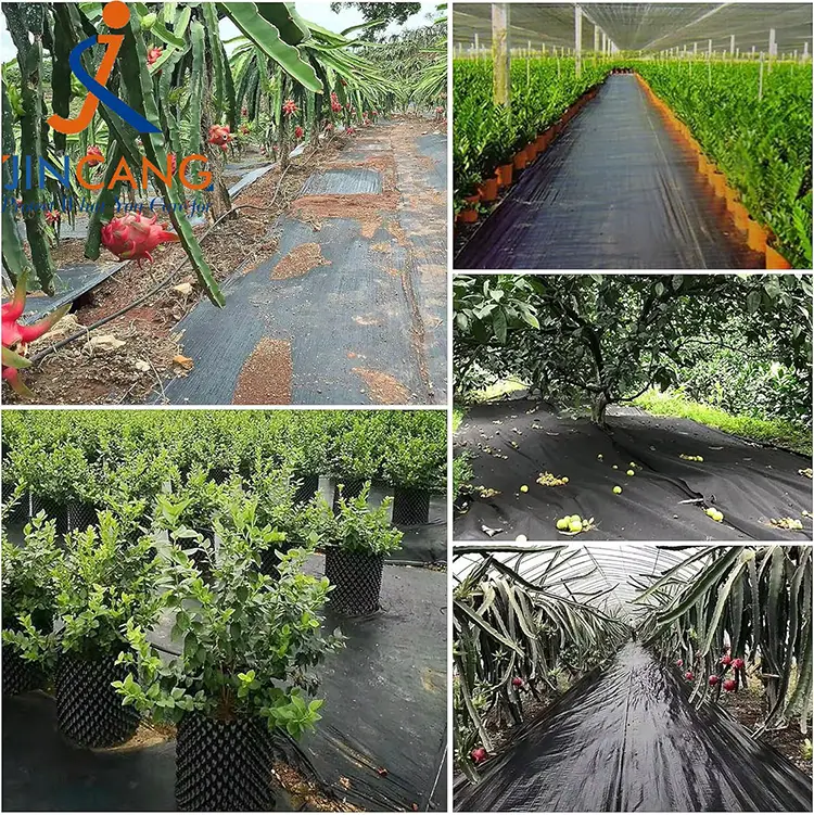 Mata fabraice rialaithe fiailí