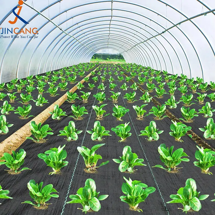 Mata fabraice rialaithe fiailí